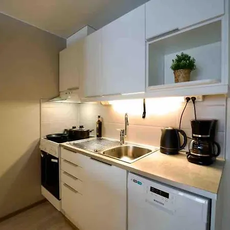 1br - King Size Bed - Wi-fi - Sauna Rovaniemi